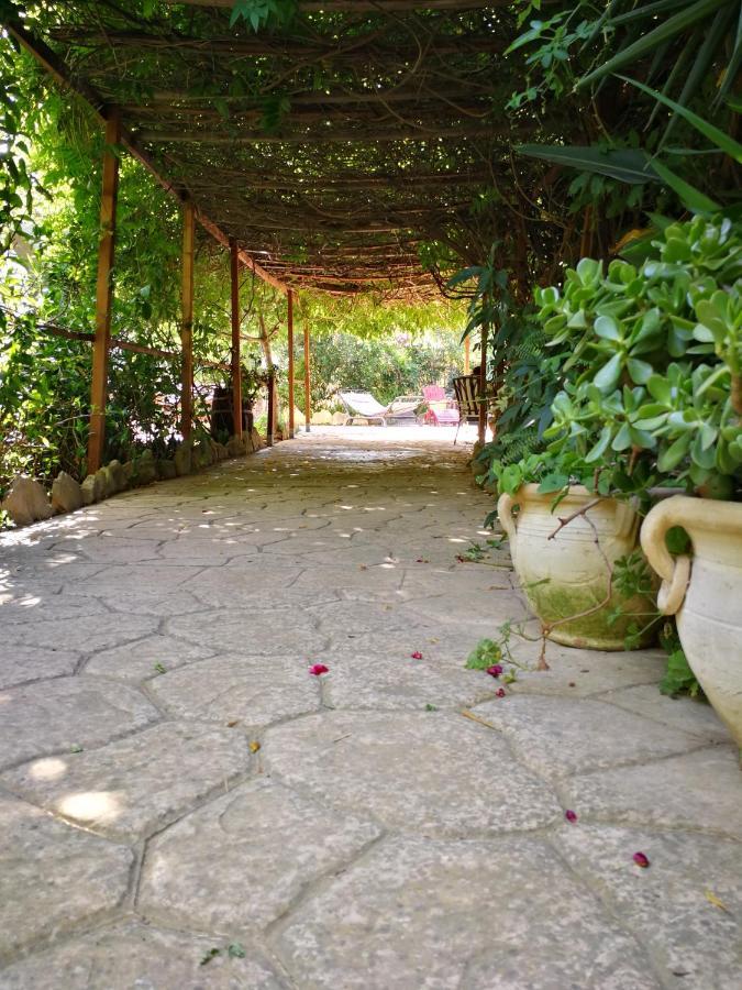 Villa Murgia Solanas  Dış mekan fotoğraf