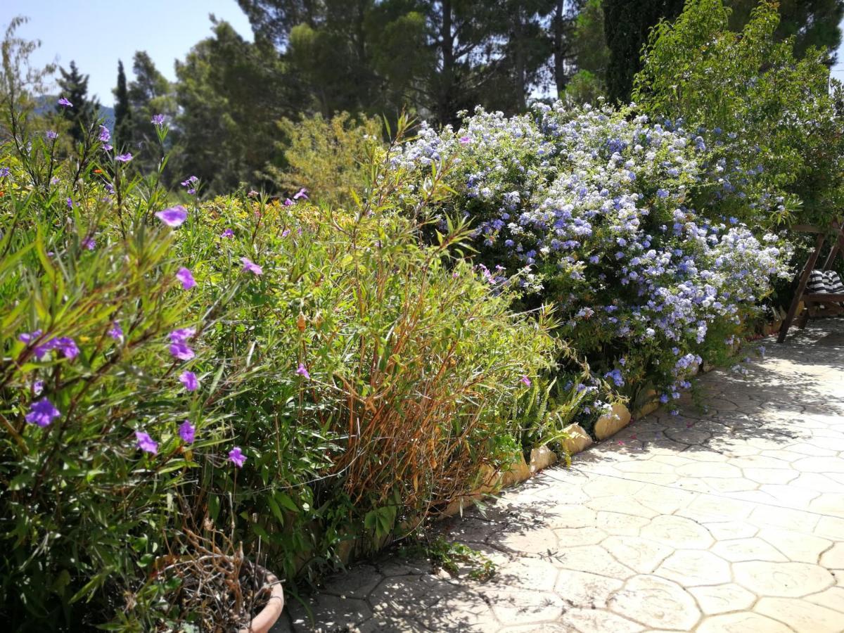 Villa Murgia Solanas  Dış mekan fotoğraf